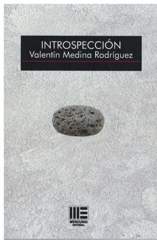 INTROSPECCIÓN — imagen 1