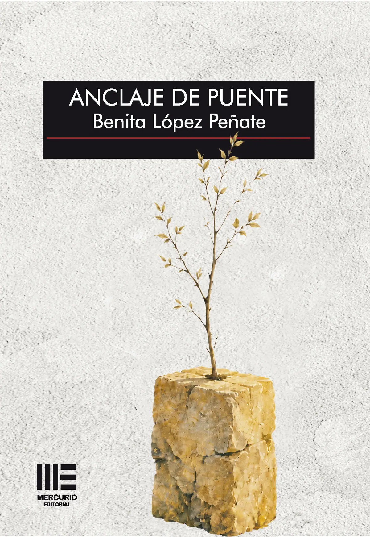 Anclaje de puente (Col. Sicut Verba) — imagen 1