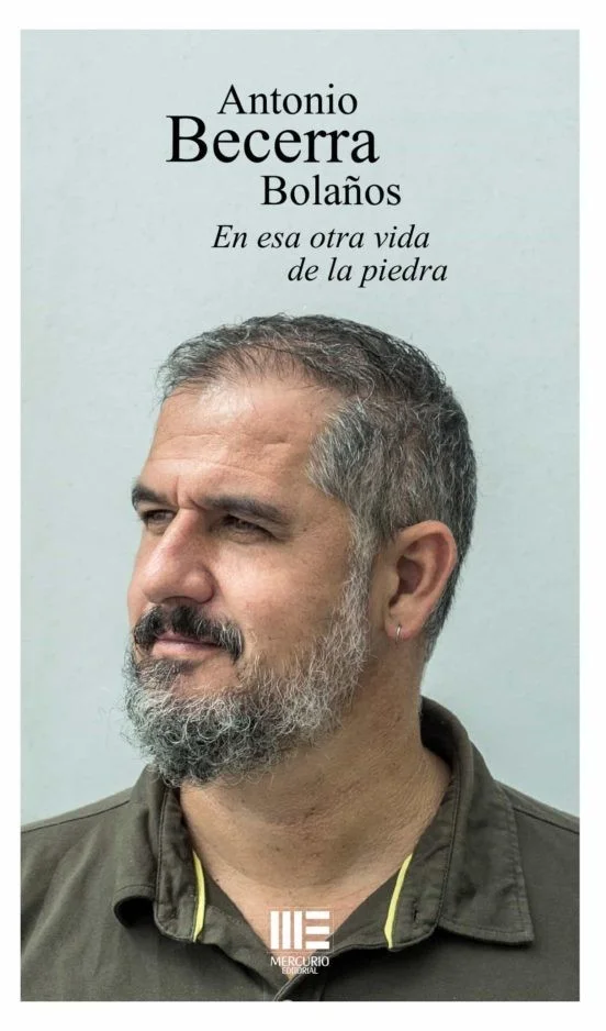 EN ESA OTRA VIDA DE LA PIEDRA — imagen 1